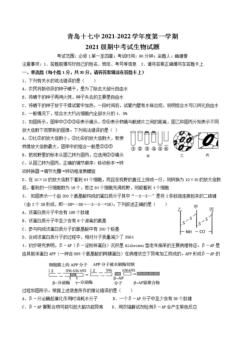 2021-2022学年上学期山东省青岛市17中高一期中生物试题（含答案）01