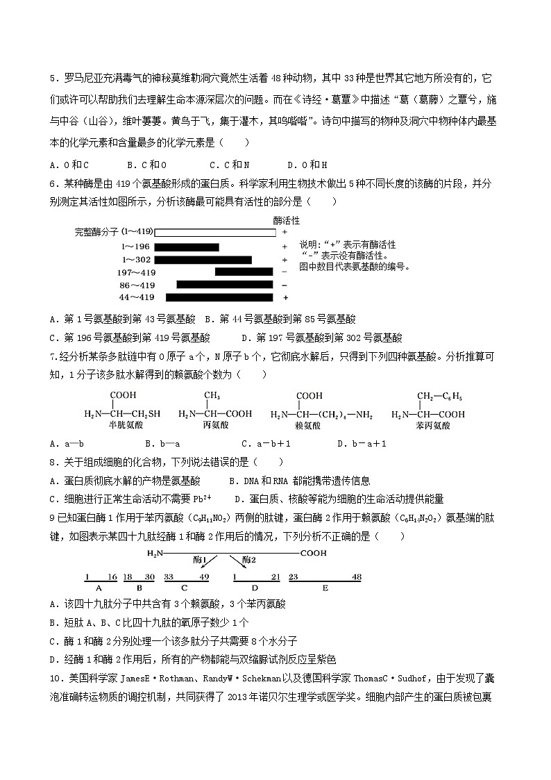 2021-2022学年上学期山东省青岛市17中高一期中生物试题（含答案）02