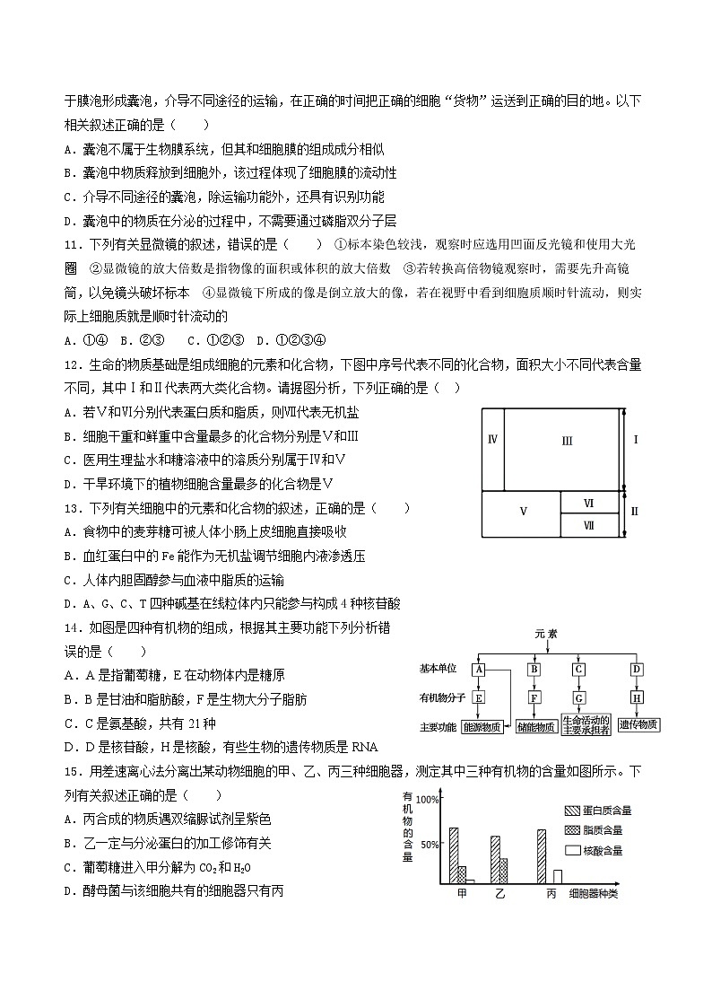 2021-2022学年上学期山东省青岛市17中高一期中生物试题（含答案）03