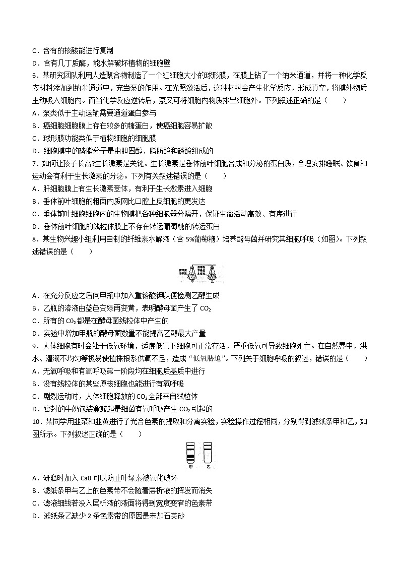 2023珠海教研联盟校（两校）高三上学期10月联考试题生物无答案第2页