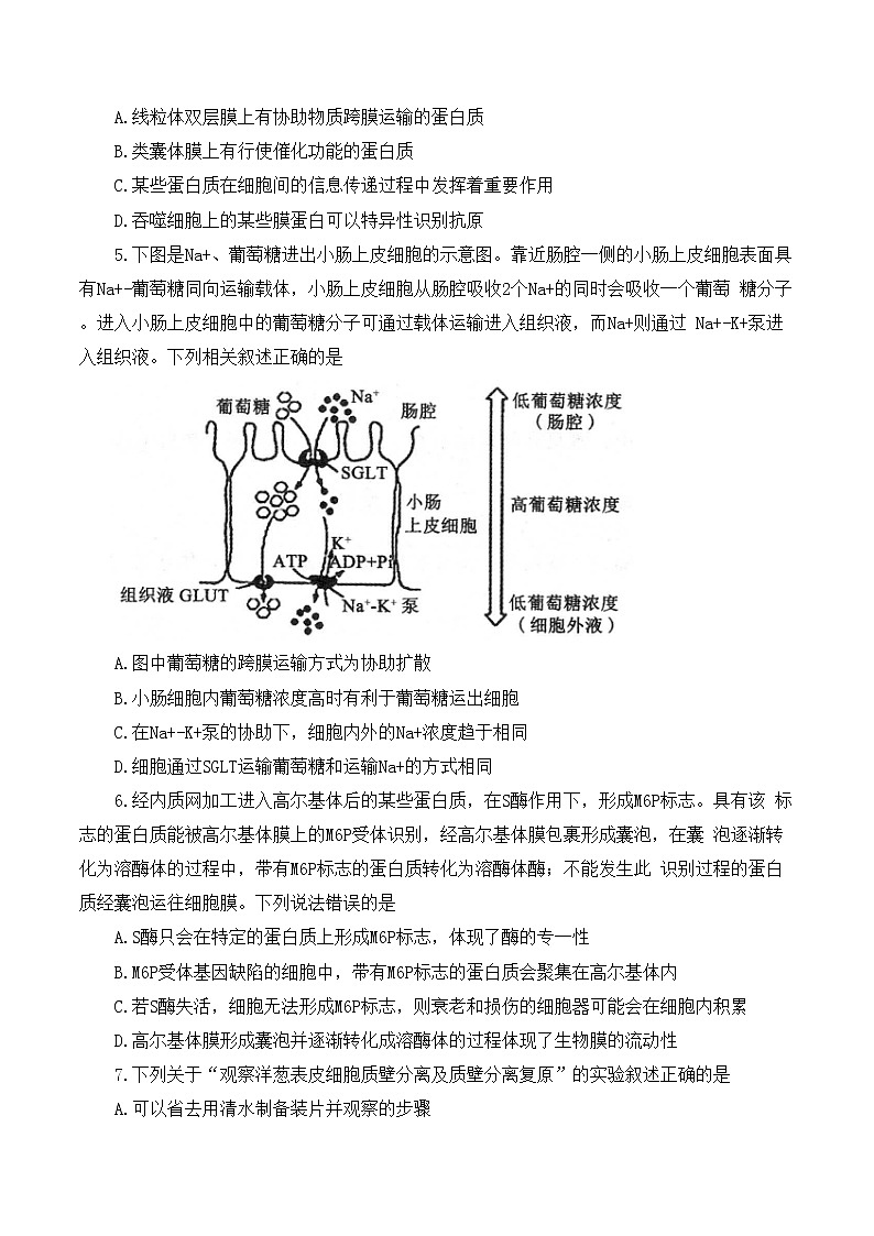 河南省部分名校2022-2023学年高三上学期第一次阶段测试生物试题无答案第2页