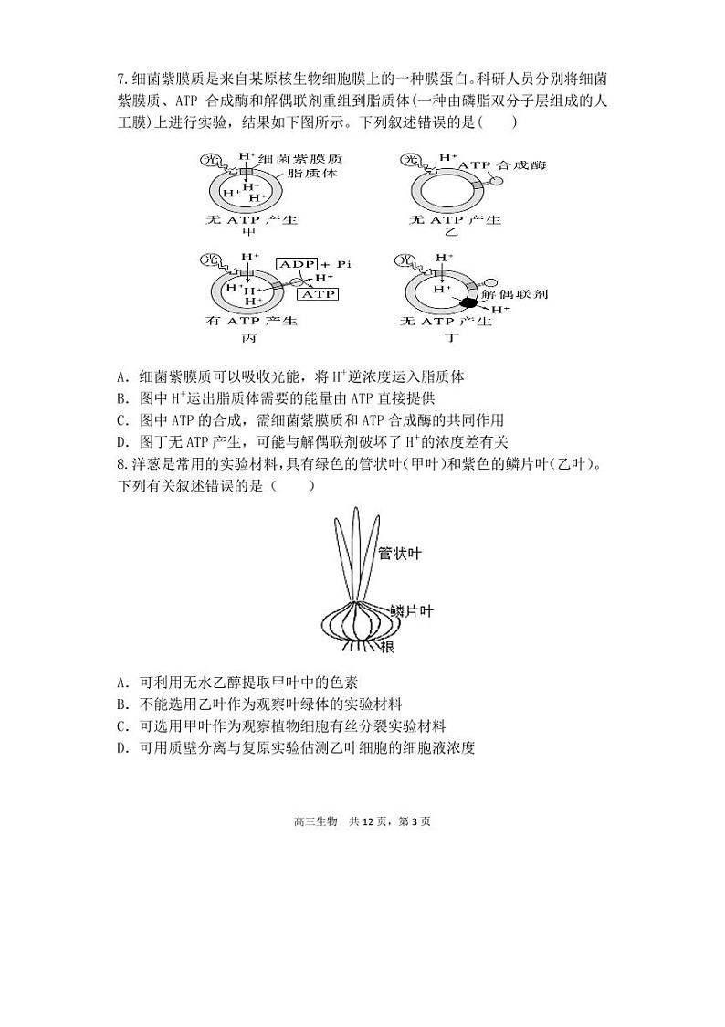 辽宁省六校协作体2022-2023学年高三上学期10月联考生物试题PDF版无答案第3页
