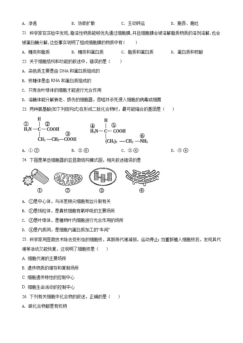 2022宁波咸祥中学高一上学期期中考试生物试题含答案03