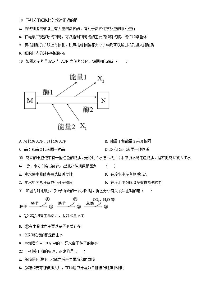 浙江省绍兴市诸暨市第二高级中学2021-2022学年高一上学期期中考试生物试题无答案第3页