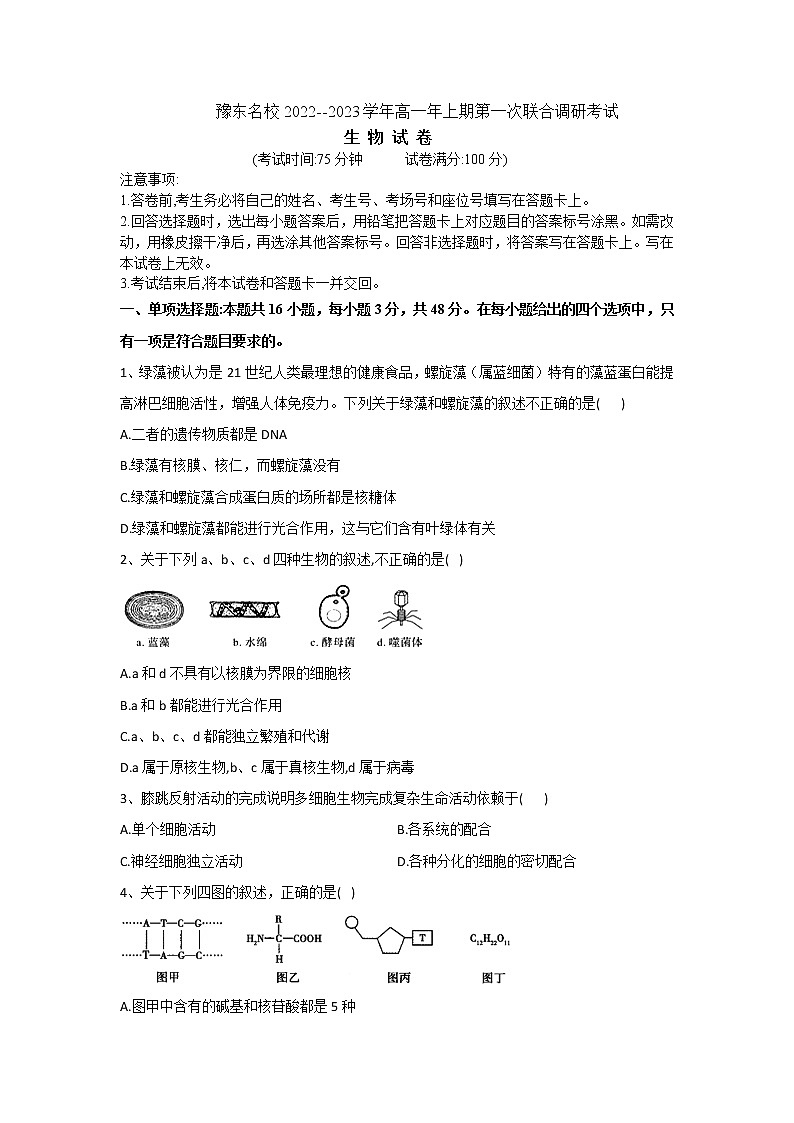 2023河南省豫东名校高一上学期第一次联合调研考试生物含解析第1页