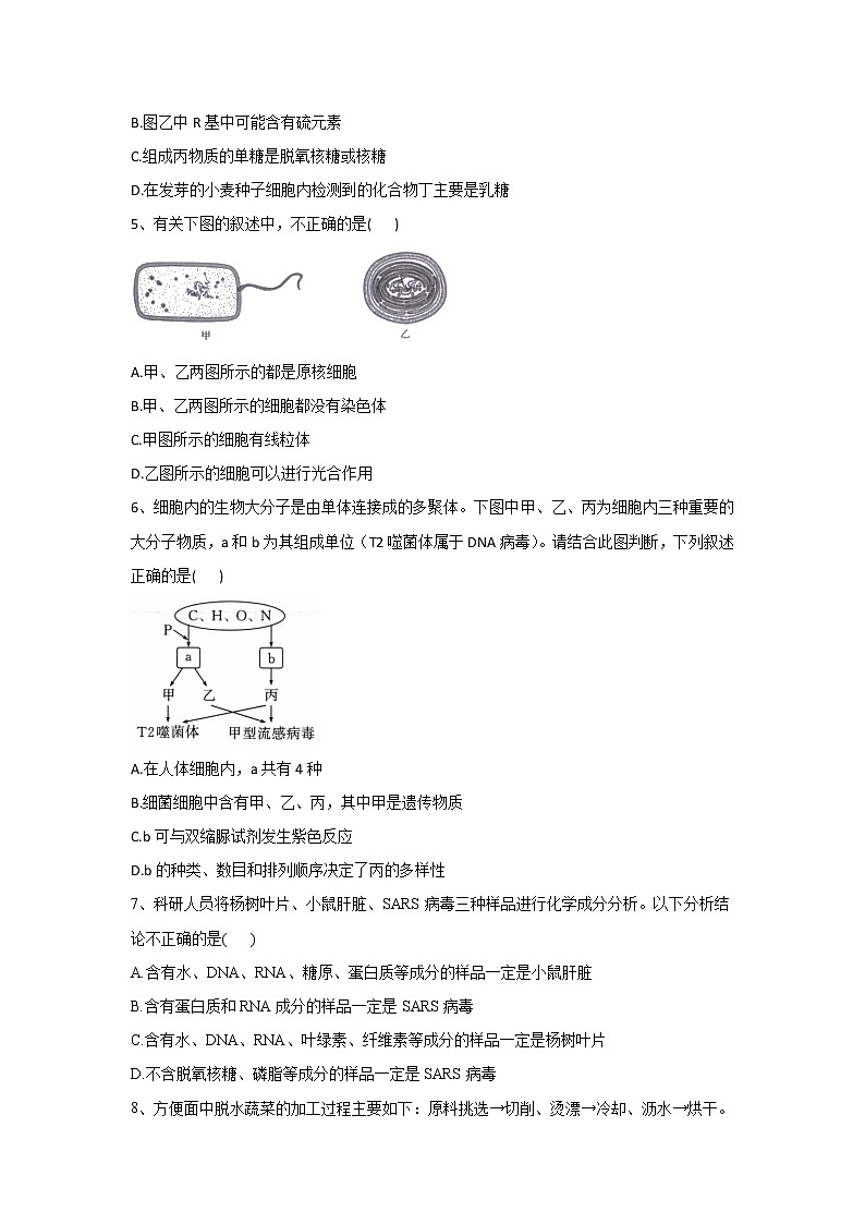 2023河南省豫东名校高一上学期第一次联合调研考试生物含解析第2页