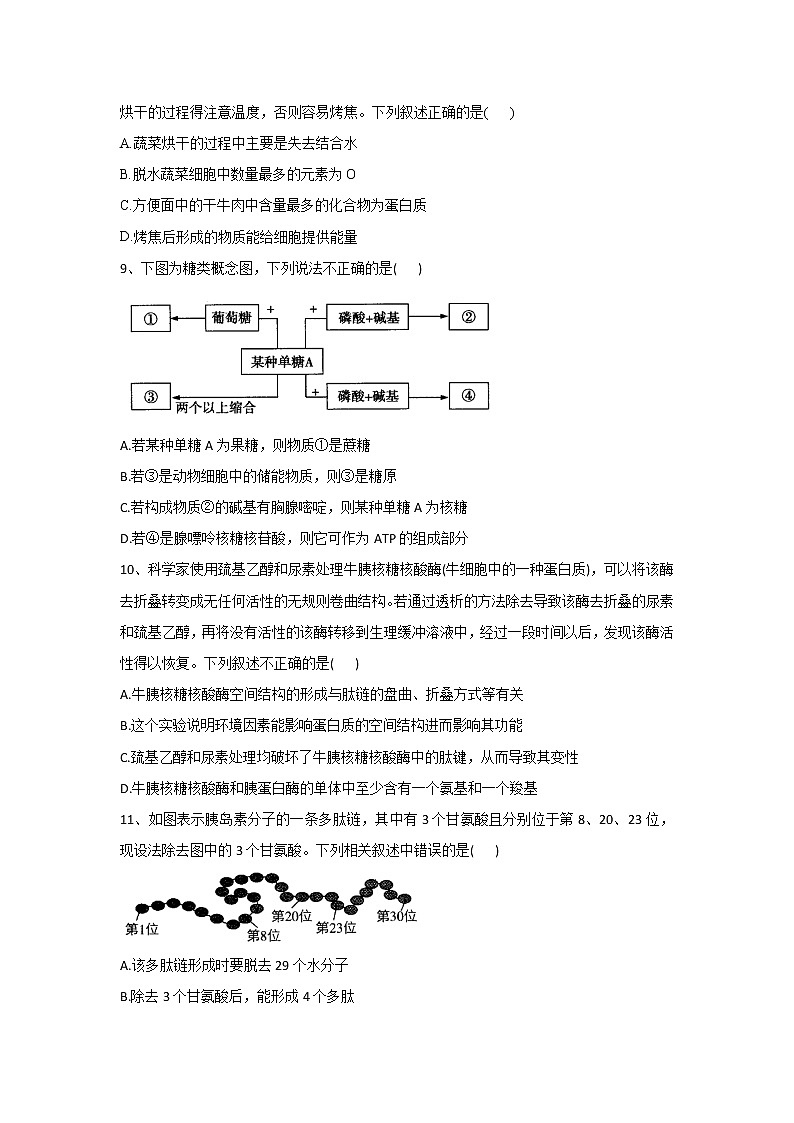2023河南省豫东名校高一上学期第一次联合调研考试生物含解析第3页