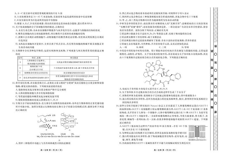 2023湖北省新高考联考协作体高一上学期10月联考试题生物PDF版含解析02