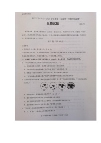 2023枣庄三中高一上学期10月月考生物试题无答案