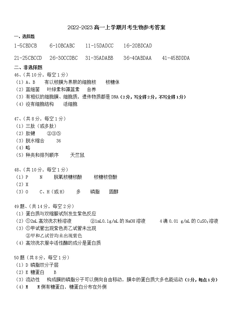 2023省哈尔滨师大附中高一上学期10月月考生物试题扫描版含答案01