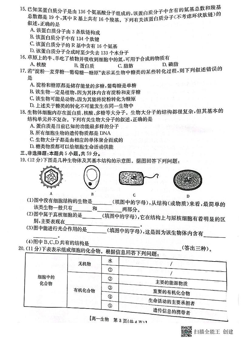 2023保定部分学校高一上学期10月选科调考第一次联考生物试题扫描版含解析第3页