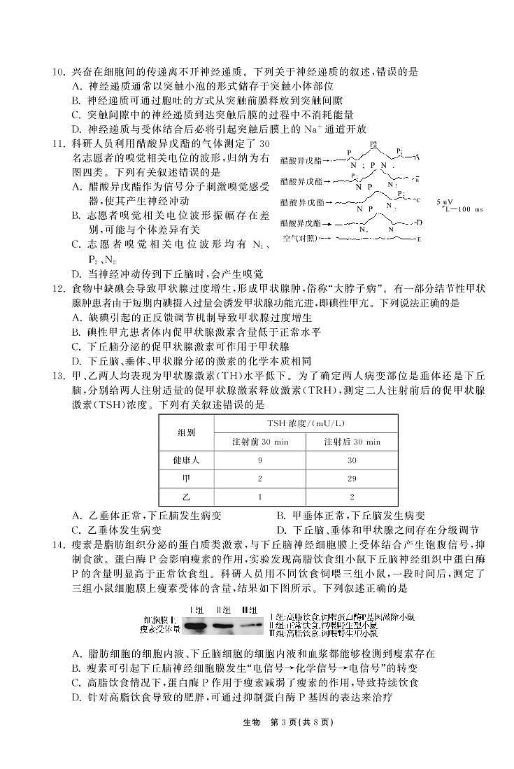 2022-2023学年甘肃省张掖市重点校高三上学期第四次检测 生物（PDF版）03