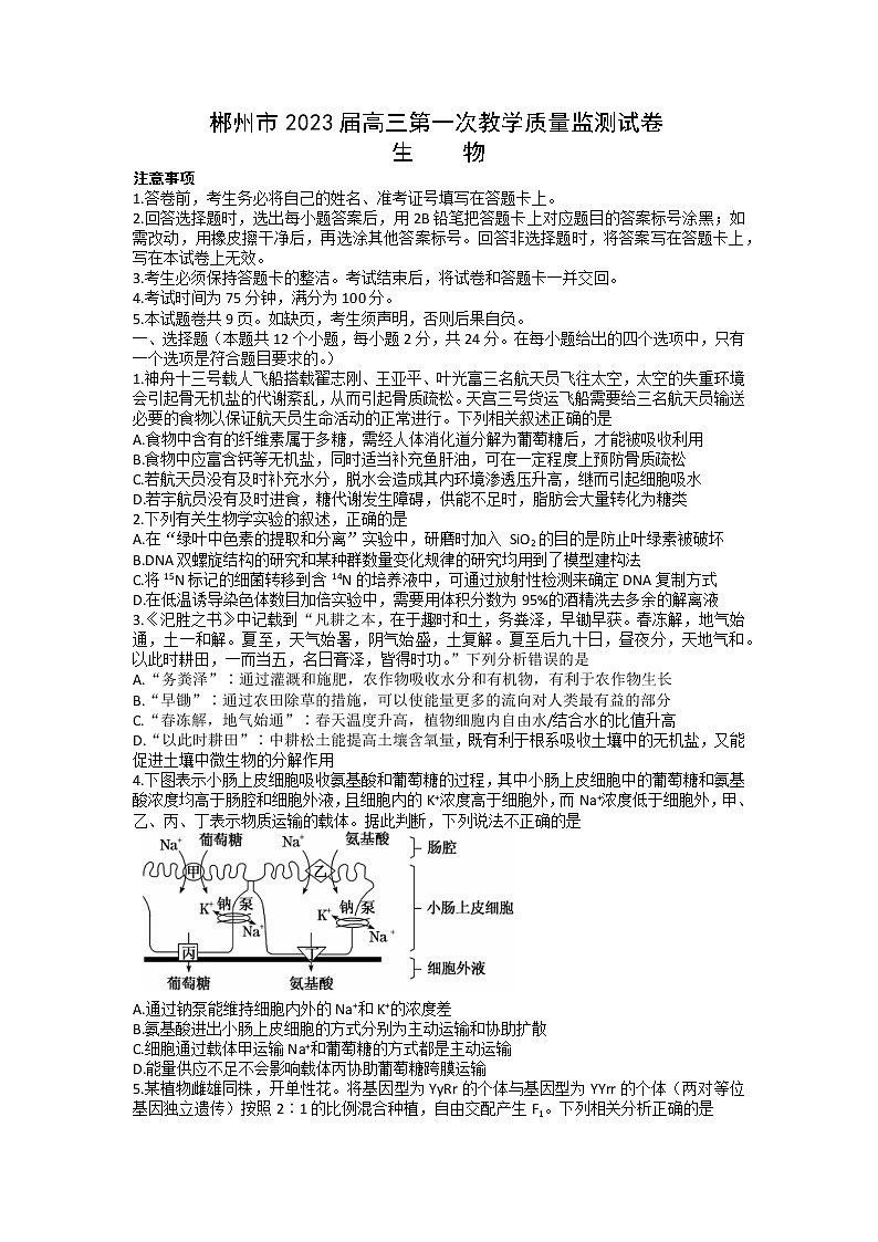 2023郴州高三上学期第一次教学质量监测生物试卷含答案01