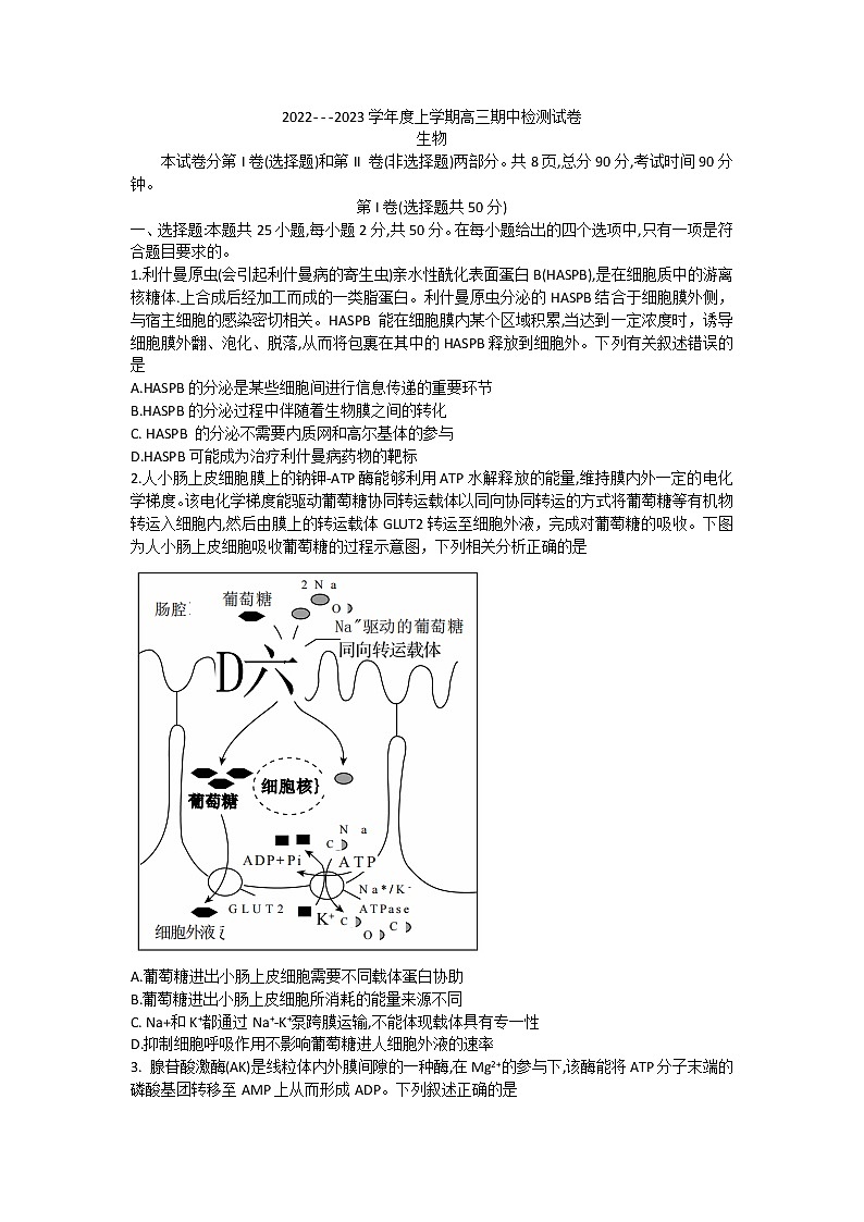 甘肃省张掖市某重点校2022-2023学年高三上学期期中检测生物试题第1页