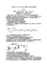 2023宜春丰城高二上学期10月期中考试生物含答案