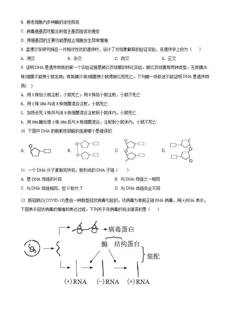 2021衢州五校高二上学期期中联考生物试题含答案02