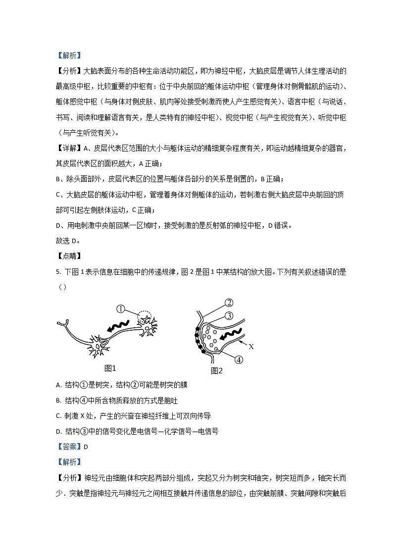 浙江省宁波效实中学2021-2022学年高二上学期期中考试  生物  Word版含解析第3页