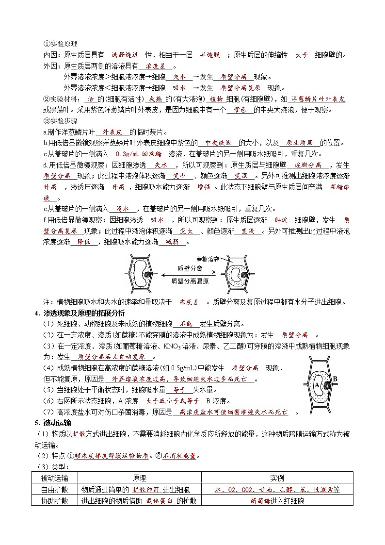 第4章 细胞的物质输入和输出-【学霸养成】2022-2023学年高一上学期生物必背知识清单（教师版）第2页