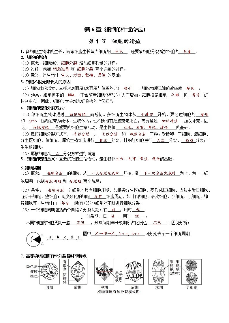 第6章 细胞的生命历程-【学霸养成】2022-2023学年高一上学期生物必背知识清单（教师版）第1页
