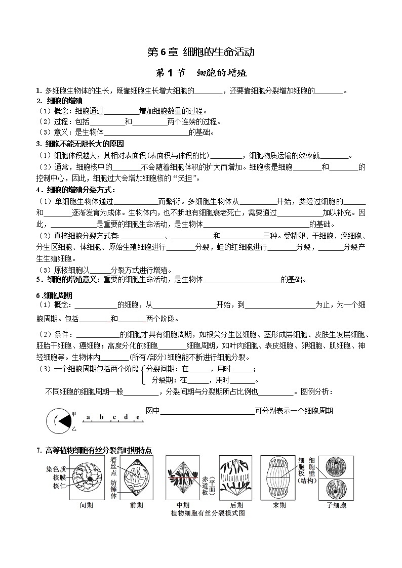 第6章 细胞的生命历程-【学霸养成】2022-2023学年高一上学期生物必背知识清单（学生版）第1页