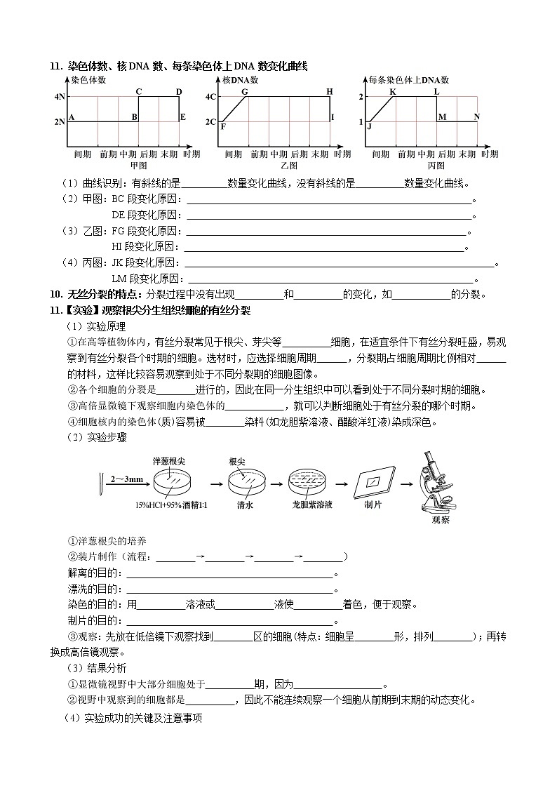 第6章 细胞的生命历程-【学霸养成】2022-2023学年高一上学期生物必背知识清单（学生版）第3页