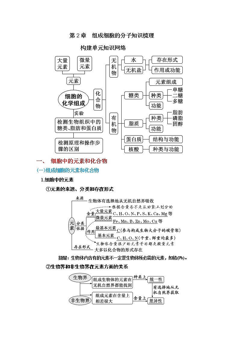 【知识梳理】高中生物(人教版2019)必修1  第2章《组成细胞的分子》知识梳理第1页