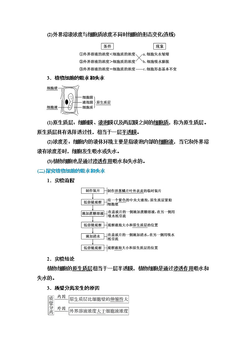【知识梳理】高中生物(人教版2019)必修1  第4章《细胞的物质输入和输出》知识梳理第2页