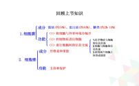 高中生物人教版 (2019)必修1《分子与细胞》第2节 细胞器之间的分工合作备课课件ppt