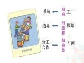 《第2节 细胞器之间的分工合作》集体备课ppt课件