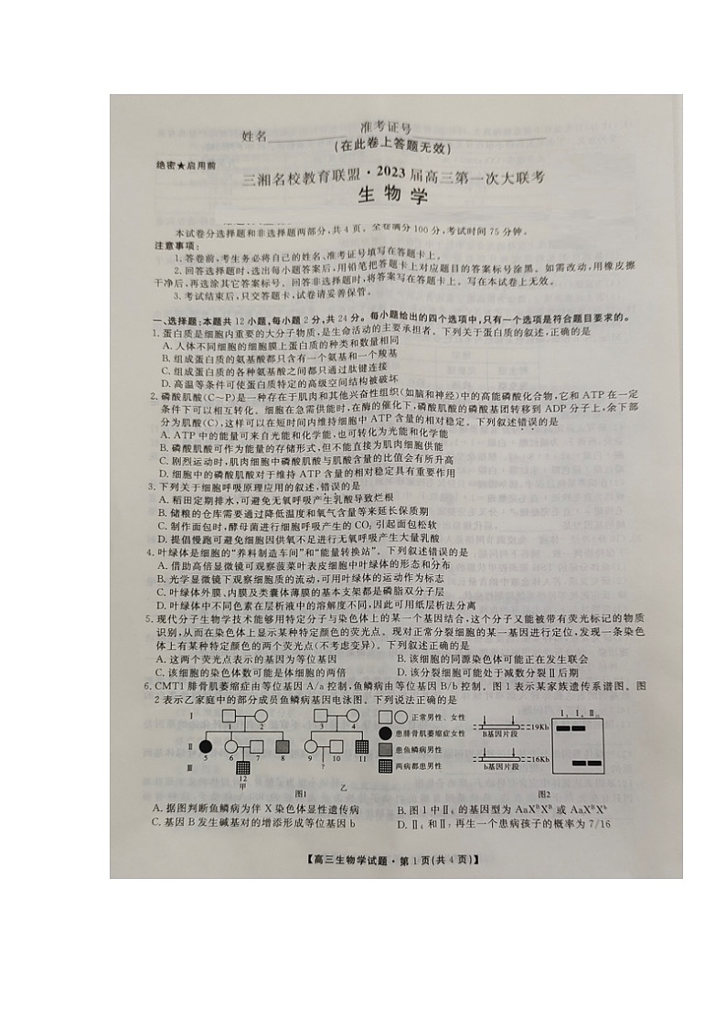 湖南省三湘名校教育联盟2022-2023学年高三上学期第一次大联考生物试题（含答案）01