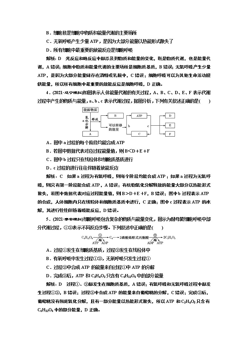 【最新版】23届高考生物二轮复习之素养主题练(二)　物质与能量观第2页