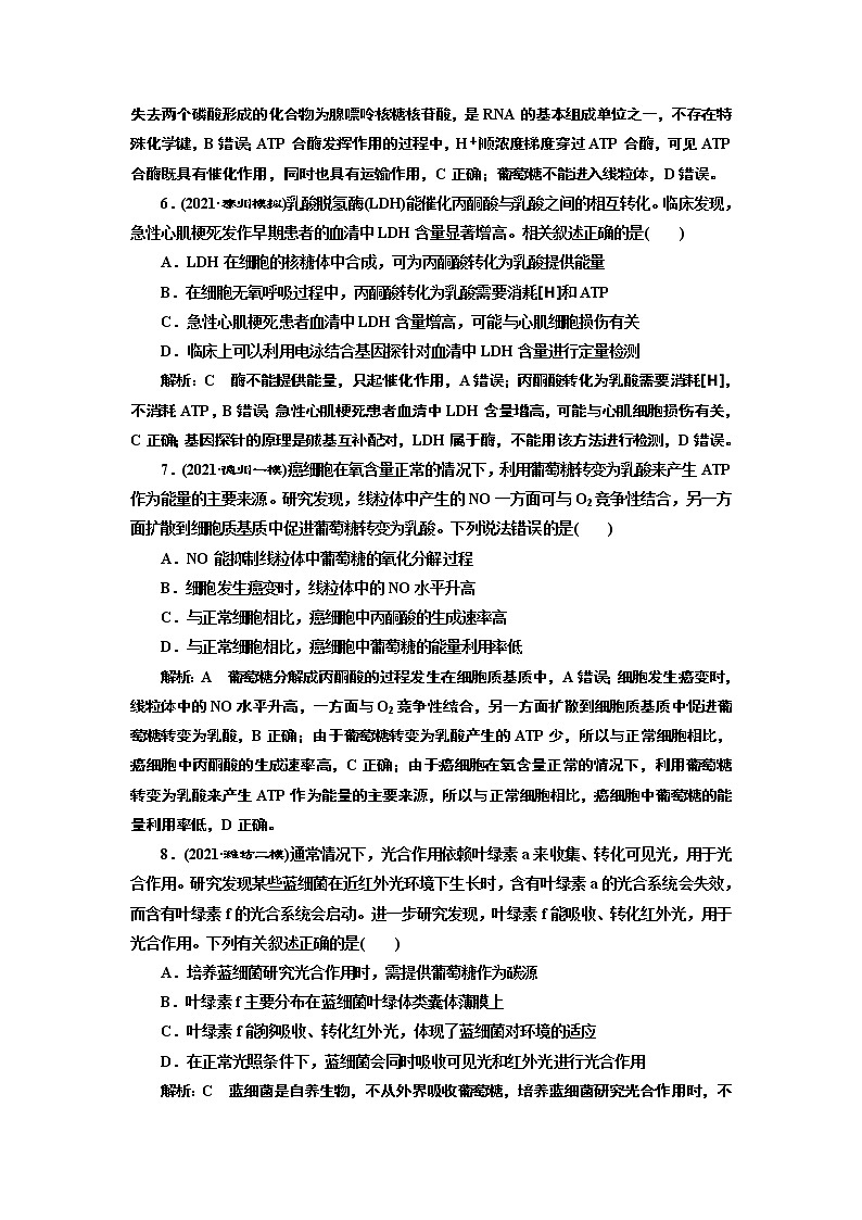 【最新版】23届高考生物二轮复习之专题跟踪检测（二） 细胞代谢第3页