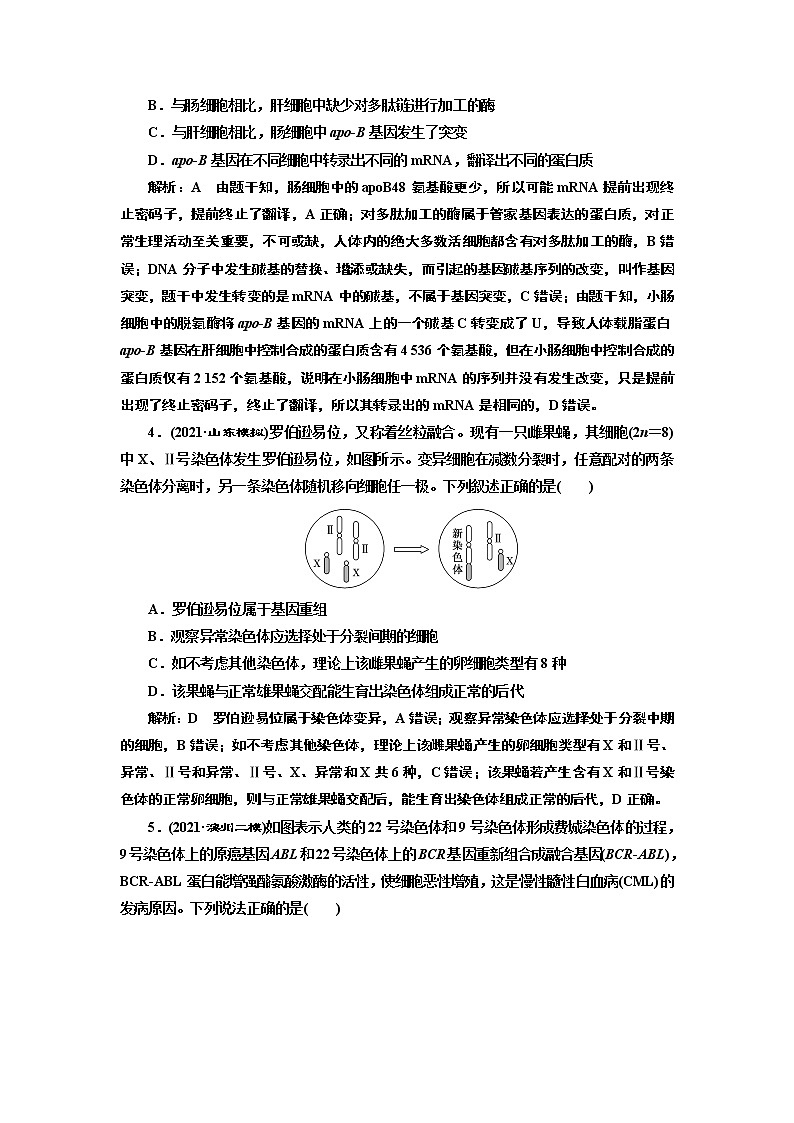 【最新版】23届高考生物二轮复习之专题跟踪检测（六） 生物的变异与进化第2页