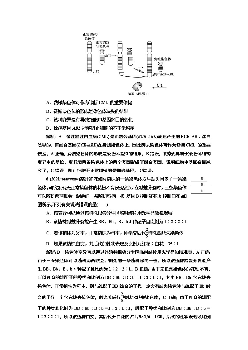 【最新版】23届高考生物二轮复习之专题跟踪检测（六） 生物的变异与进化第3页
