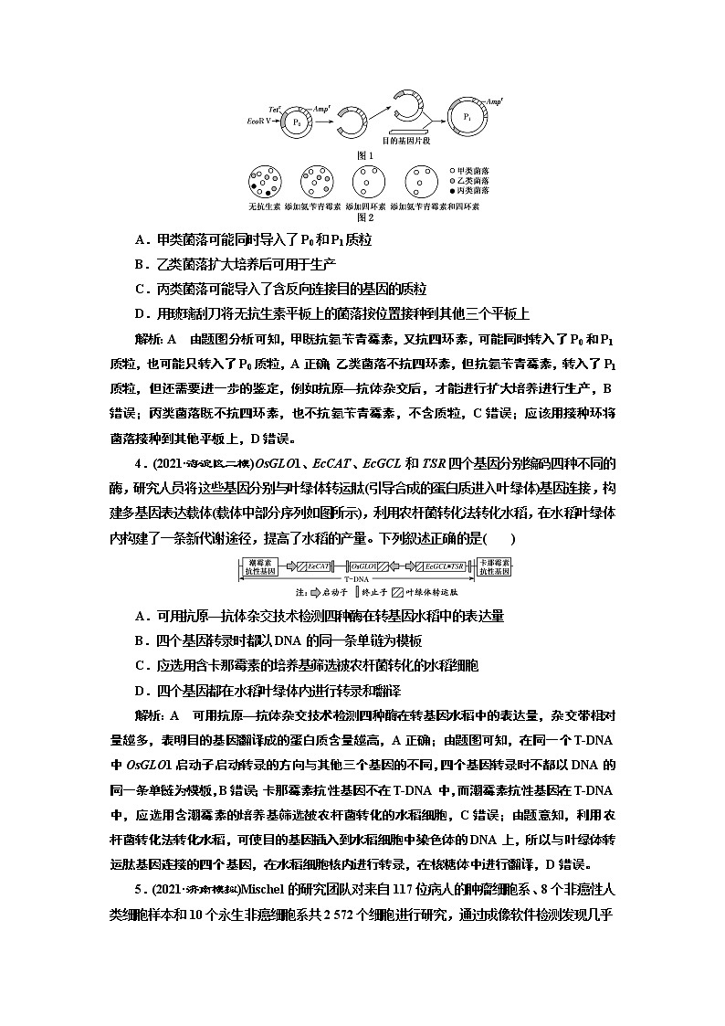 【最新版】23届高考生物二轮复习之专题跟踪检测（十四） 基因工程第2页