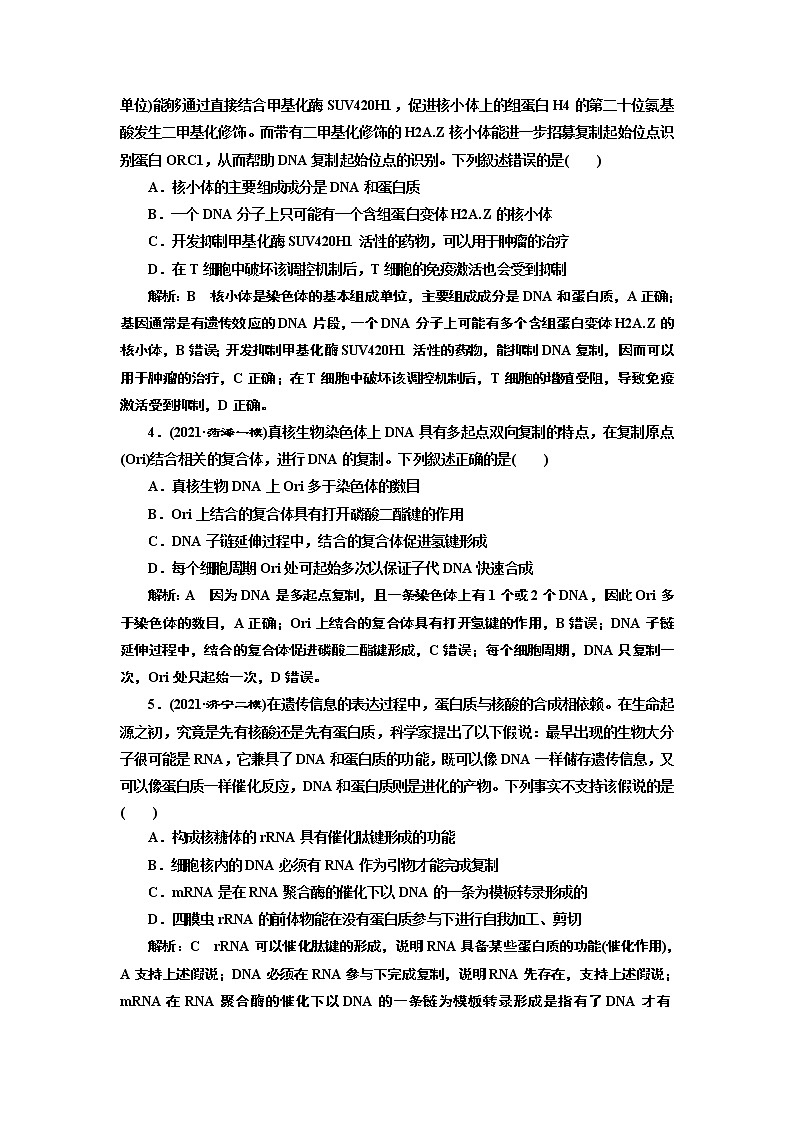 【最新版】23届高考生物二轮复习之专题跟踪检测（四） 基因的本质与表达第2页