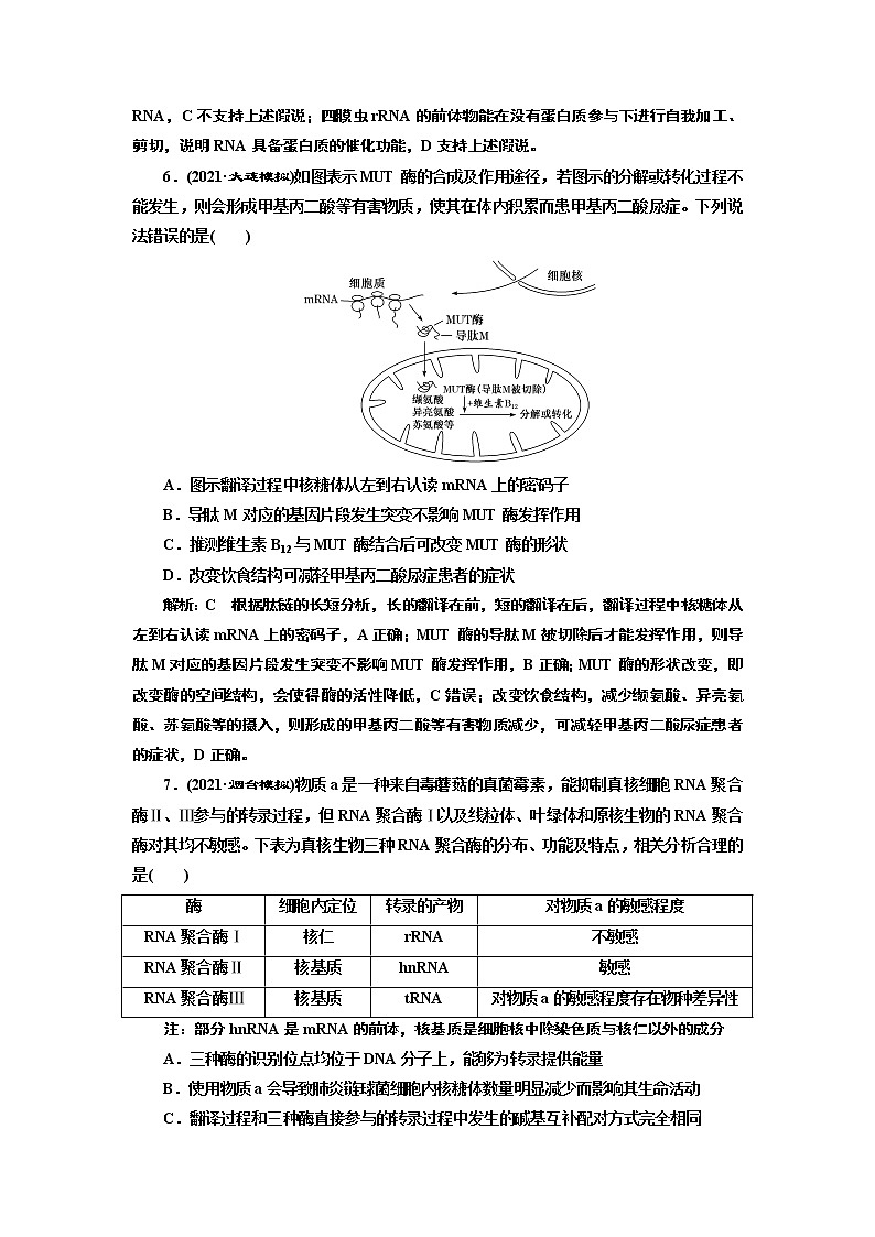 【最新版】23届高考生物二轮复习之专题跟踪检测（四） 基因的本质与表达第3页