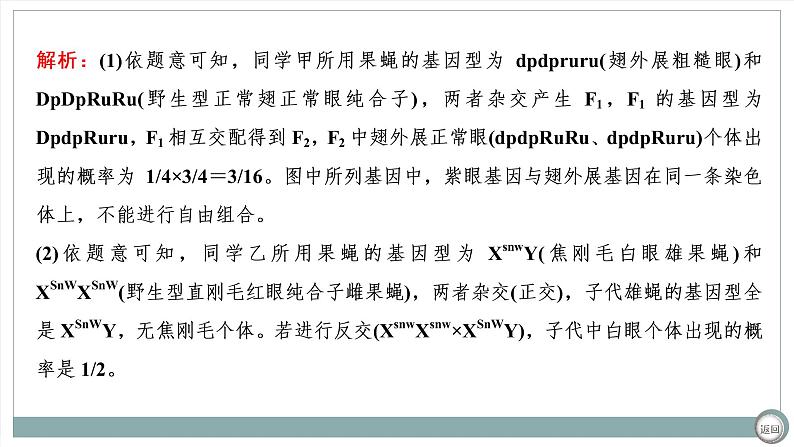 【最新版】22届高考生物二轮专题复习之大题考法  高考命题二  遗传规律与伴性遗传【同步课件】第4页