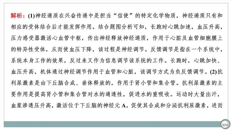 【最新版】22届高考生物二轮专题复习之大题考法  高考命题三  人和动物生命活动的调节【同步课件】第6页