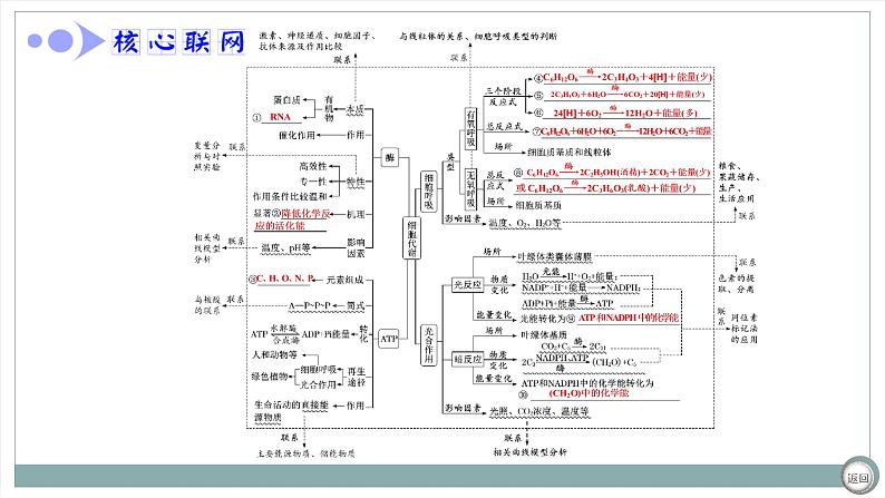 【最新版】22届高考生物二轮专题复习之专题二  细胞代谢【同步课件】第4页