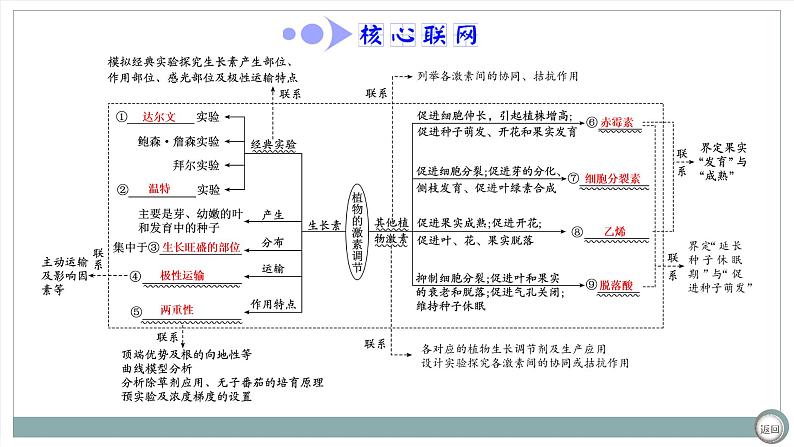 【最新版】22届高考生物二轮专题复习之专题九  植物激素调节【同步课件】第4页