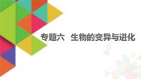 【最新版】22届高考生物二轮专题复习之专题六  生物的变异与进化【同步课件】