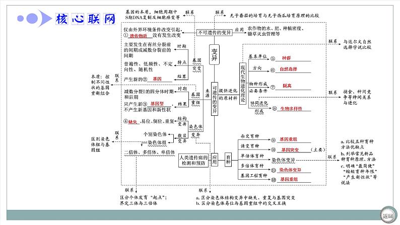 【最新版】22届高考生物二轮专题复习之专题六  生物的变异与进化【同步课件】第4页