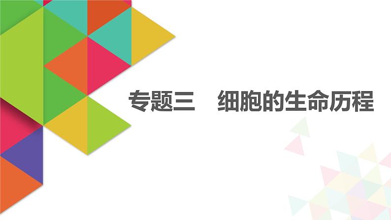 【最新版】22届高考生物二轮专题复习之专题三  细胞的生命历程【同步课件】第1页