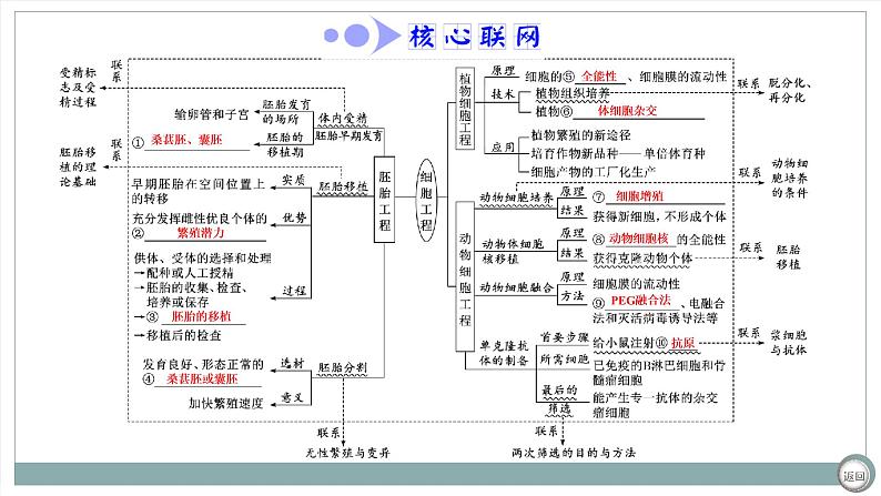 【最新版】22届高考生物二轮专题复习之专题十三  细胞工程【同步课件】第4页