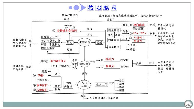 【最新版】22届高考生物二轮专题复习之专题十一  生态系统及人与环境【同步课件】第4页