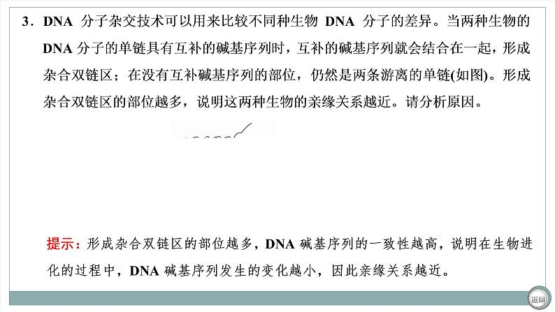 【最新版】22届高考生物二轮专题复习之专题四  基因的本质与表达【同步课件】第6页