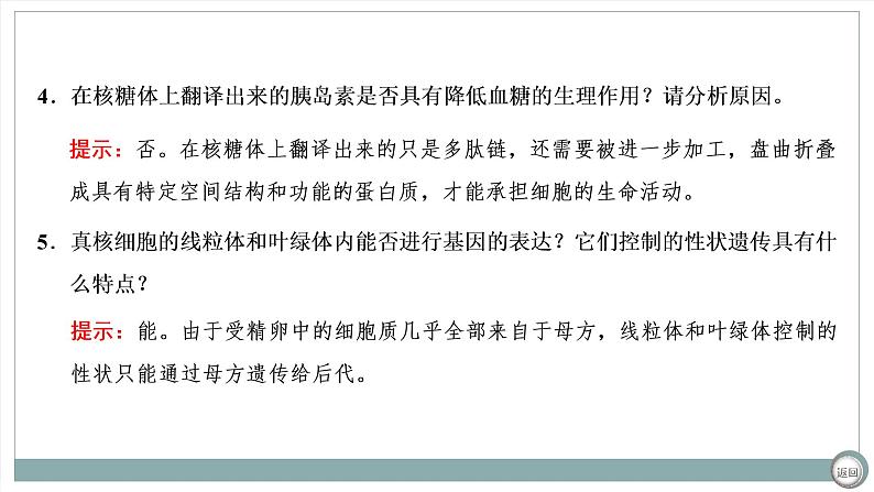 【最新版】22届高考生物二轮专题复习之专题四  基因的本质与表达【同步课件】第7页