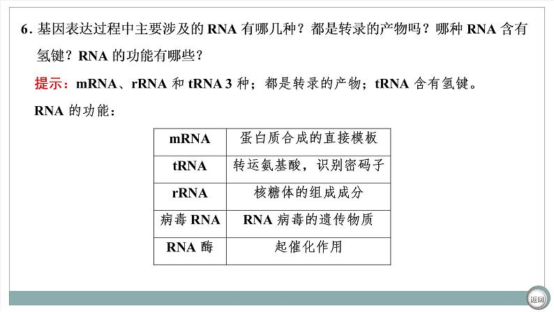 【最新版】22届高考生物二轮专题复习之专题四  基因的本质与表达【同步课件】第8页