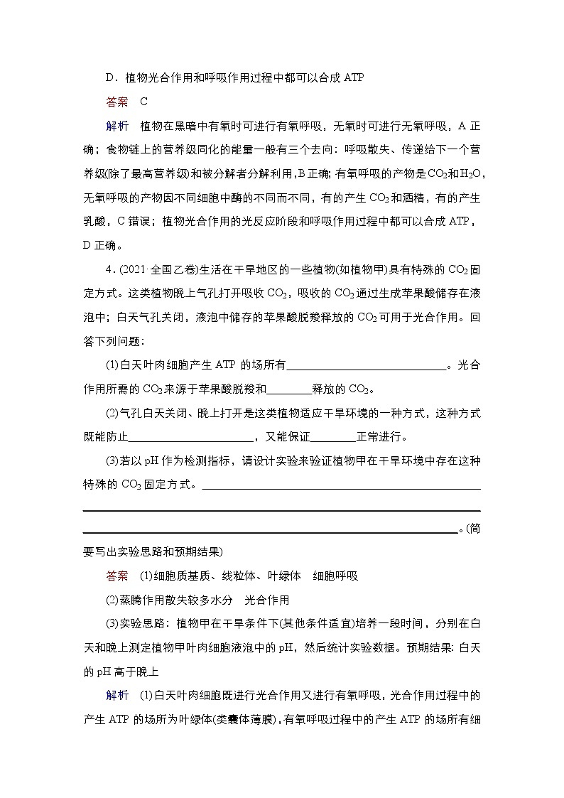 【最新版】23届生物新高考二轮专题复习之专题2　细胞的代谢第3页